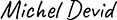 Signature of the Lowry NFT founder